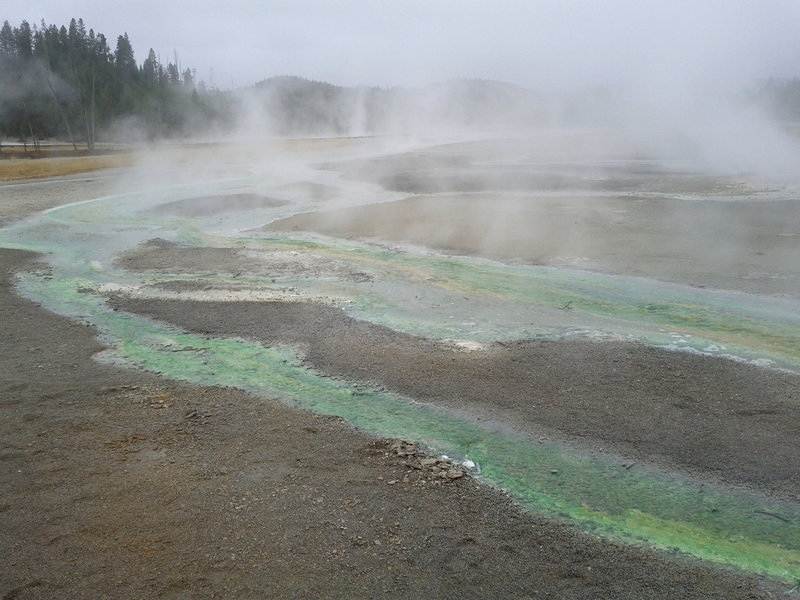 Overlooking some of the unique features in the Norris Geyser Basin.