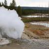 Steaming fumaroles, Norris Geyser Basin