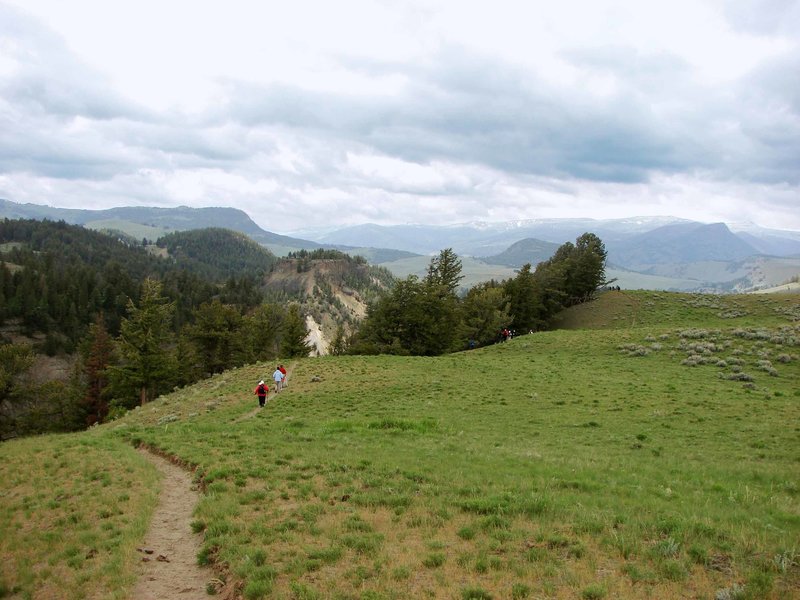 Speciman Ridge Trail - Yellowstone National Park with permission from walkaboutwest *No Commercial Use