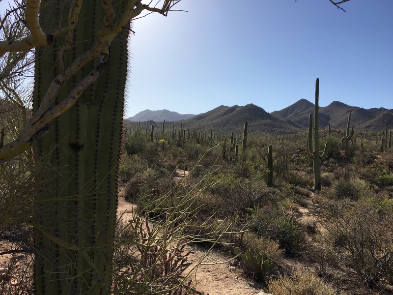 Along Valley View Trail.