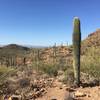 Looking out over the desert from the end of the Valley View trail.