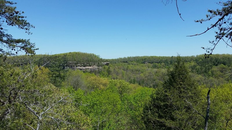 From the top of the arches! Finally a view. I felt like I was looking for this the entire weekend of camping. The Cumberland Plateau is a beautiful place. #REIEMPLOYEE