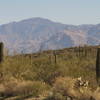 High Mountain Cliffs Contrasting With Saguaro Cacti In Saguaro National Park with permission from David Cure-Hryciuk