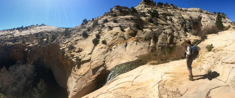 Upper Calf Creek Falls