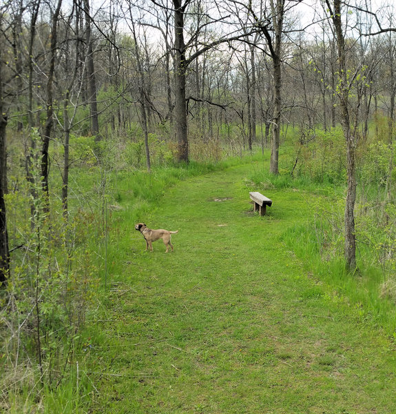 Bench at halfway point on Hiking/Ski trail