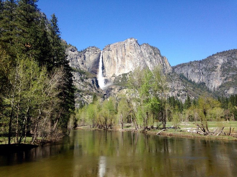 Yosemite falls  viewed from swinging bridge.