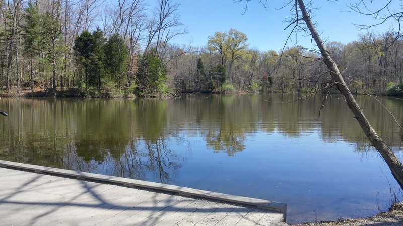 View of the Powel Crosley Lake from the boardwalk