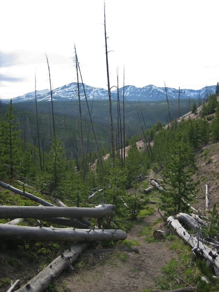 The Solfatara Creek Trail drops steeply to its northern trailhead. The 1988 forest fires cleared the trees in the area providing views of the Gallatin Range to the northwest.