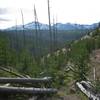 The Solfatara Creek Trail drops steeply to its northern trailhead. The 1988 forest fires cleared the trees in the area providing views of the Gallatin Range to the northwest.