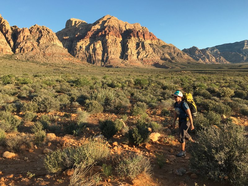 Morning on the Oak Creek Canyon Trail