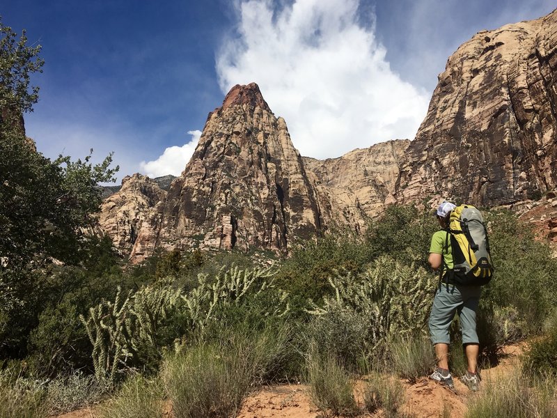 Looking up at the Mescalito in Pine Creek Canyon.