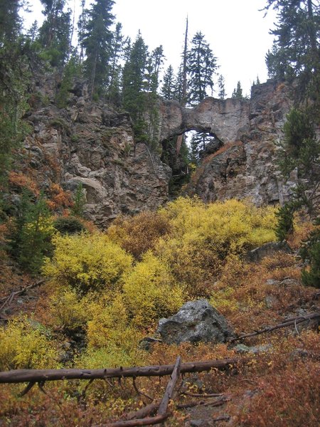 Natural Bridge, yet another curious wonder of Yellowstone!