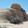 The rocks on the side of the trail provide opportunities for exploration and getting great views.