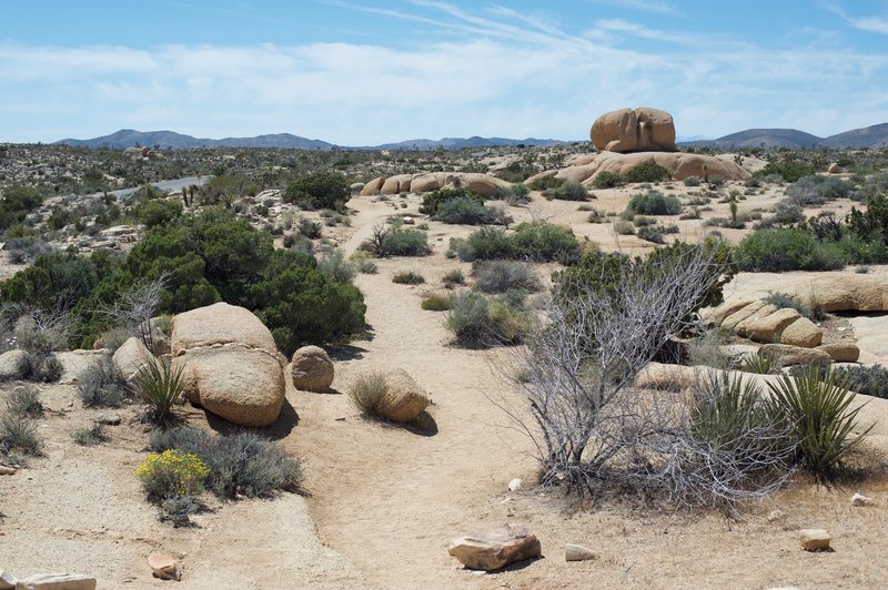 The trail as it makes its way back to the road.