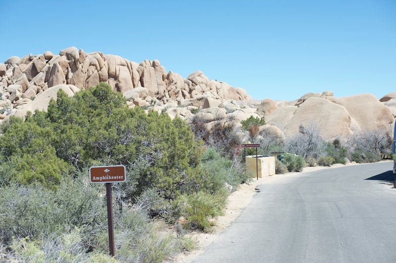 The trail follows the road through the Jumbo Rock Campground until you pass the amphitheater and then the Skull Rock Trail goes off to the left.