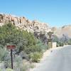 The trail follows the road through the Jumbo Rock Campground until you pass the amphitheater and then the Skull Rock Trail goes off to the left.