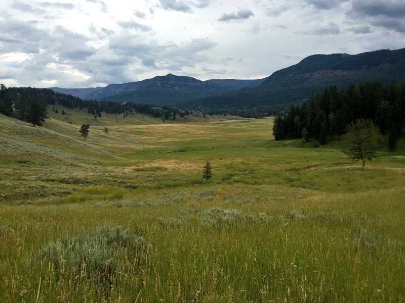 The Soldiers Trail enters Slough Creek's First Meadow from the west.