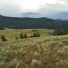 Looking south over the Slough Creek's First Meadow from a ridge just off the Buffalo Fork Trail.