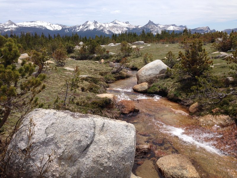 Taking a pit stop near Dingley Creek, on trail to Young Lakes.