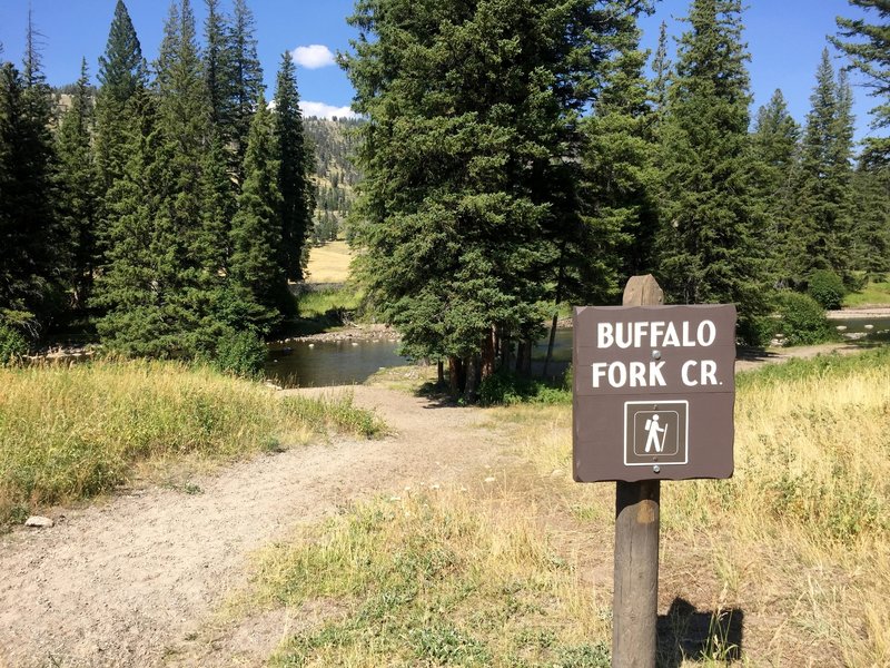 The beginning of the Soldiers Trail (sometimes called a part of the Buffalo Fork Creek Trail) leaves Slough Creek Campground and quickly fords Slough Creek (shown here in late August).