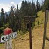 Dailey Pass is a major 4-way intersection between Yellowstone's Sky Rim Trail & Dailey Creek Trail and the NFS Dailey Pass Trail.