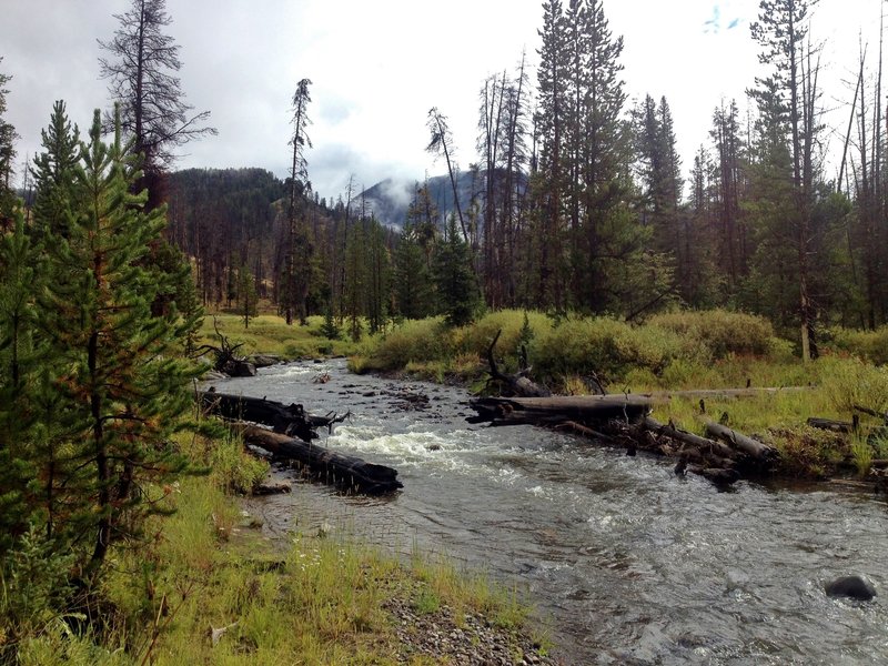 On the Specimen Creek Trail near the confluence of the North Fork and the East Fork of Specimen Creek.