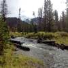 On the Specimen Creek Trail near the confluence of the North Fork and the East Fork of Specimen Creek.