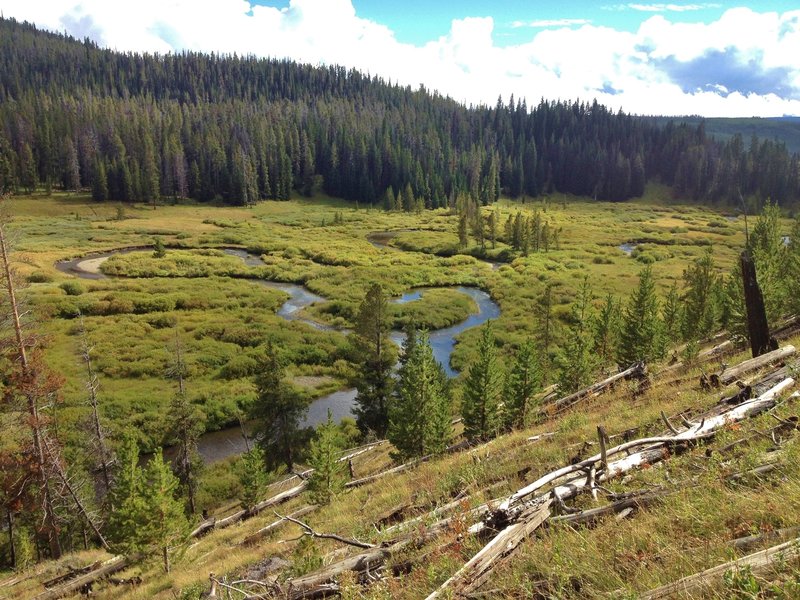 Beautiful oxbow bends in Fan Creek.