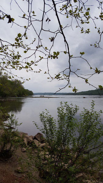 Looking north from the Susquehanna River towards Conewingo Dam.