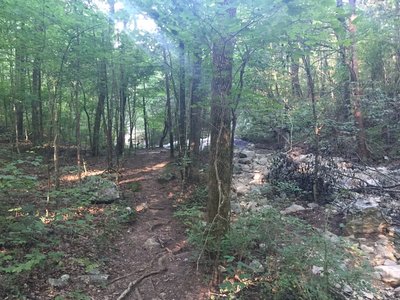 Fagan Spring Trail runs next to Fagan Creek.