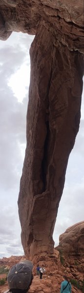 Looking up at one of the Window Arches.