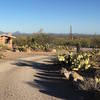 Signal Hill picnic area offers several places to have a meal after hiking in the desert.