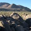 Rewarding journey to the top of Signal Hill reveals many petroglyphs. Even the rock squirrel is taking in the view.