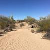 Portion of the Manville Trail is in a dry wash.