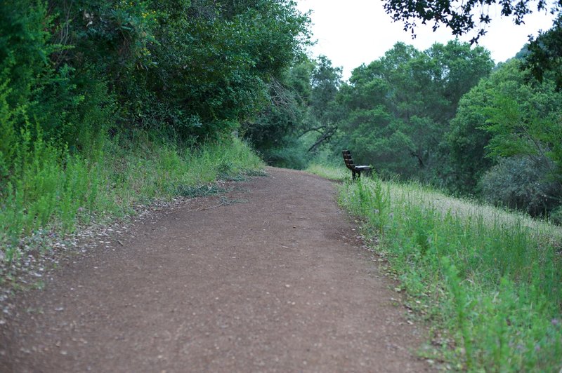 A bench sits along the trail allowing you to take a break.