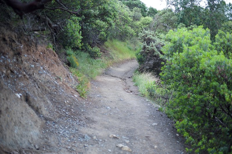 The trail slopes downhill as it makes its way uphill.