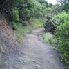 The trail slopes downhill as it makes its way uphill.