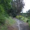 The trail climbs steeply from the parking area in Lexington County Park.