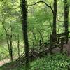 The wooden stairs which take you down to AL 6.