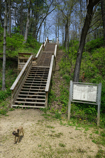 Manual escalator at the trailhead.