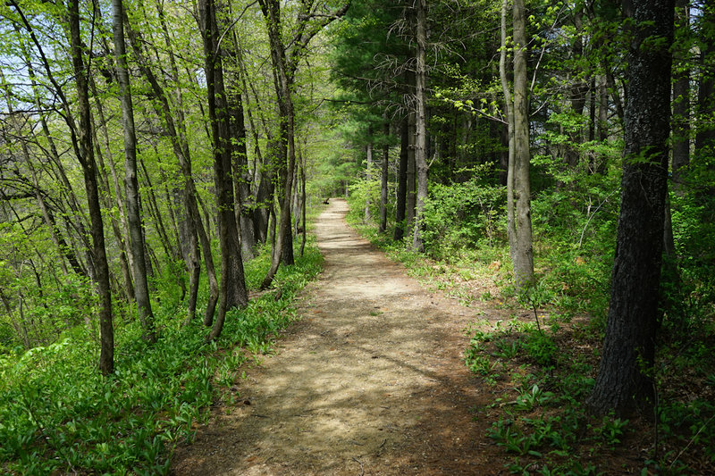 Walk along the river bluff. Sharp drop off the trail to the left. Watch the kids and pets.