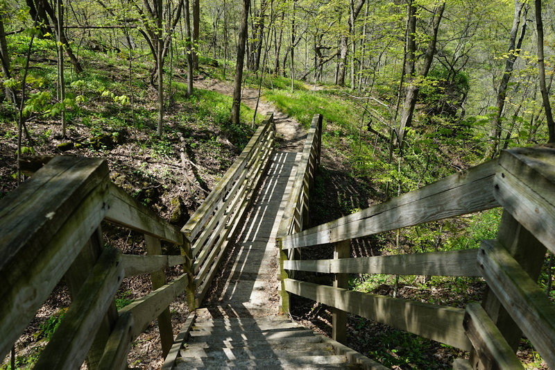 Bridge on the trail.