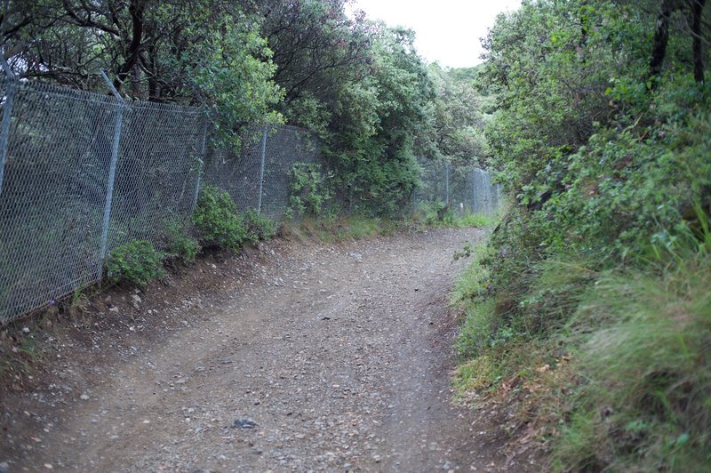 The trail winds deeper into the preserve.