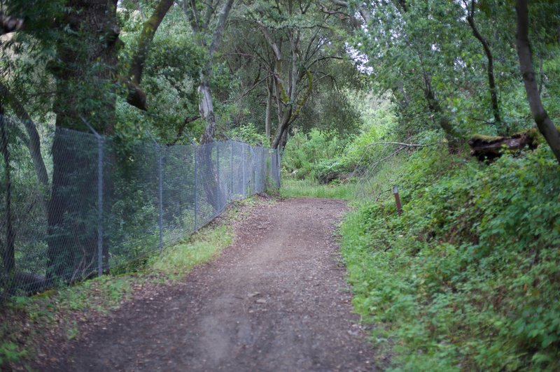 Novitiate Trail as it moves through the woods. Rabbits and quail can be seen scurrying along the trail in this section.