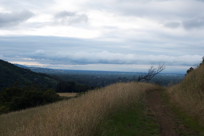 A view from the hillside.