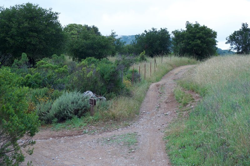 The trail meets up with the Serpentine Trail. The Manzanita Trail goes off to the left while the Serpentine Trail goes straight ahead.