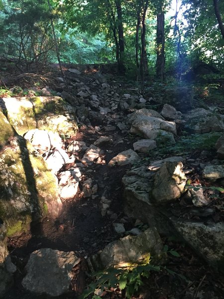 Rocky decline at the start of the Bankhead Trail.