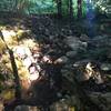 Rocky decline at the start of the Bankhead Trail.