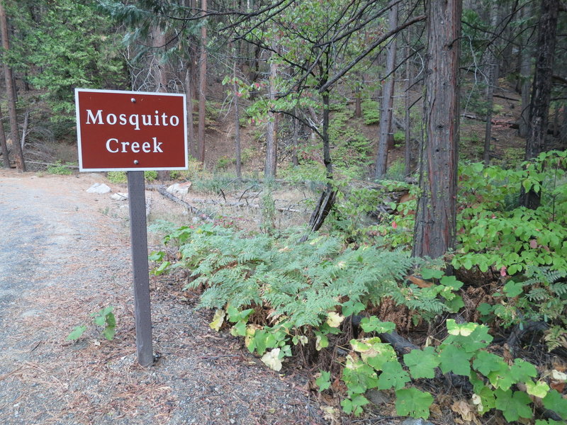 Mosquito Creek.