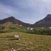 Looking up towards Gable Mountain from Lee Ridge.